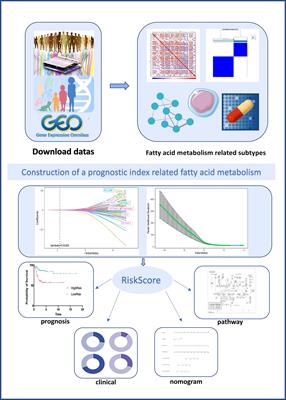 Prediction of the immunological and prognostic value of five signatures related to fatty acid metabolism in patients with cervical cancer